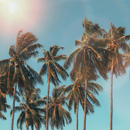 July