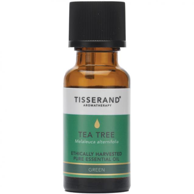Tisserand Aromatherapy Tea Tree Ethically Harvested Essential Oil 20ml