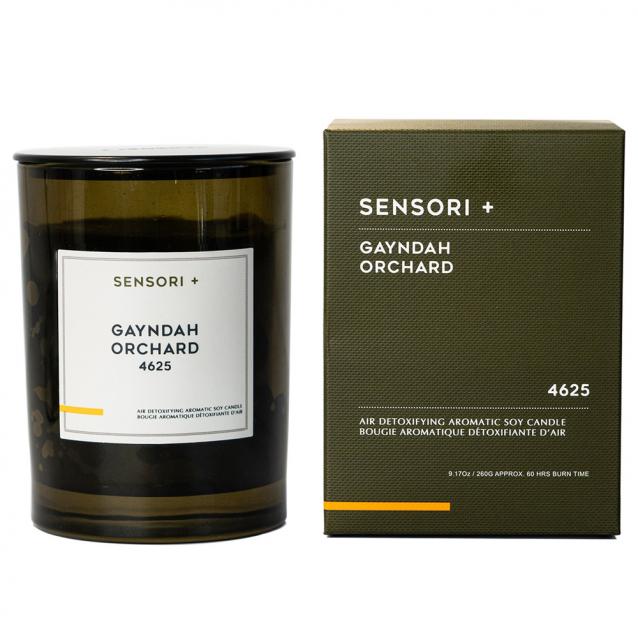 Sensori+ Air Detoxifying Soy Candle Gayndah Orchard 4625 260g