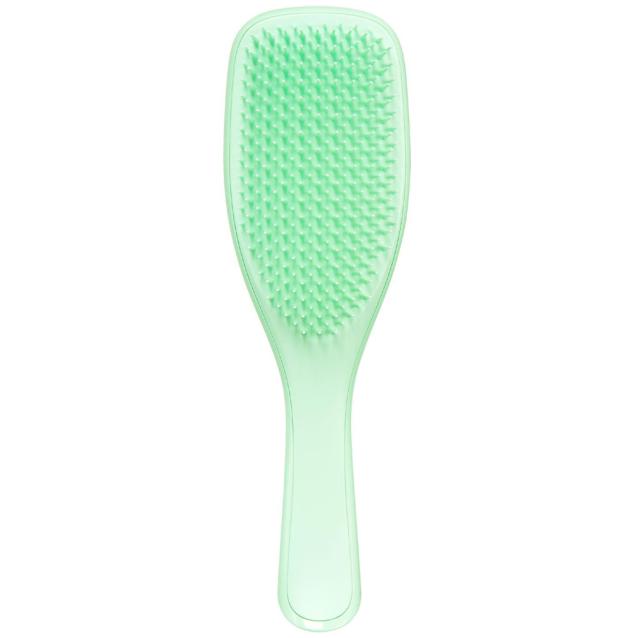 Tangle Teezer Wet Detangler Mint Karma Tangle Teezer Wet Detangler Mint Karma