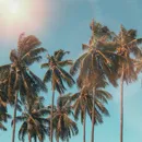 July
