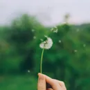 Can Hay Fever Affect Your Skin?