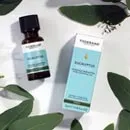 Essential Oils 20ml