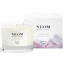 3 Wick Candles